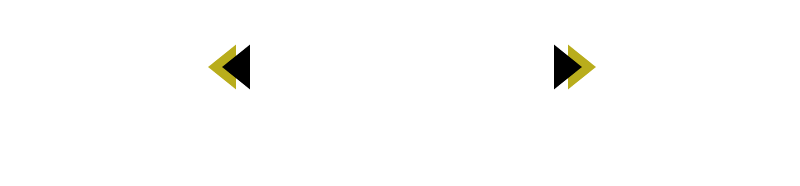 実績紹介 EXPERIENCE